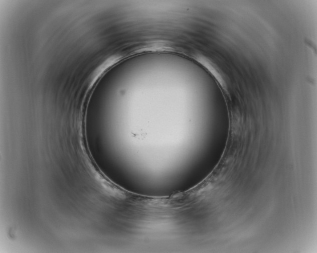 X0000099320861200805021312