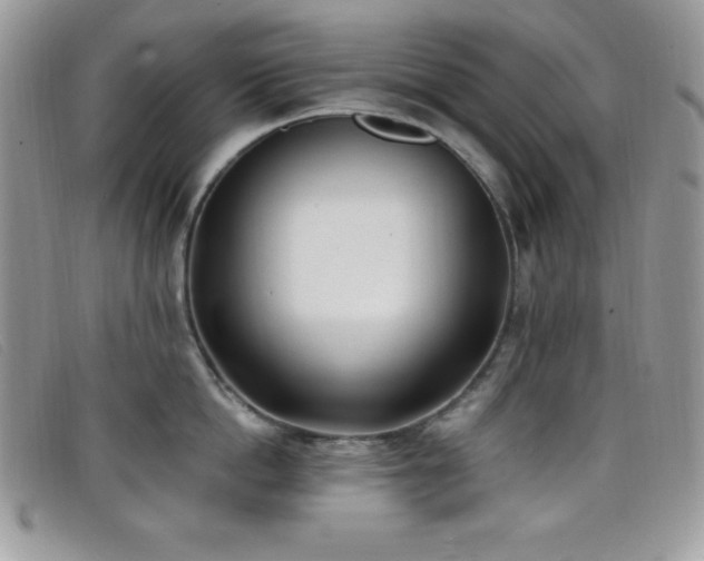 X0000099320862200805021312