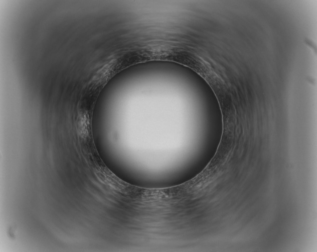 X0000099320866200805021311