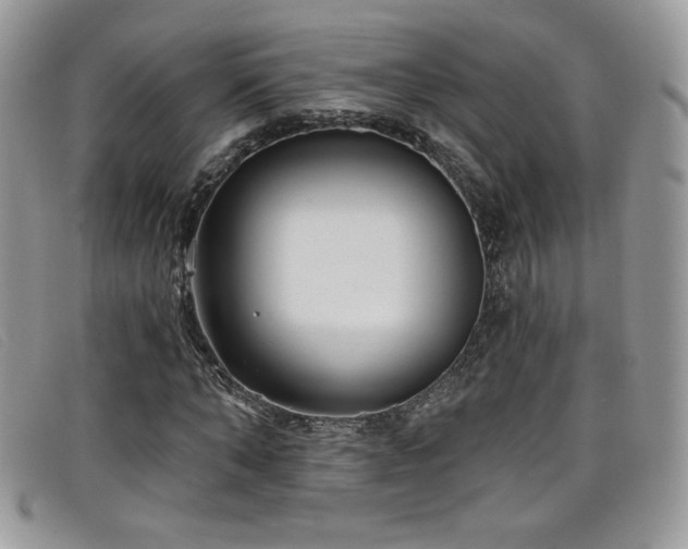 X0000099320870200805021311