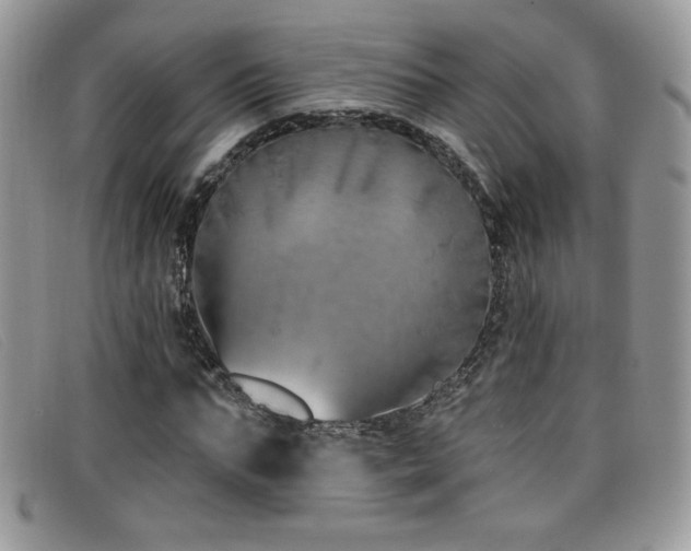 X0000099320871200805021311