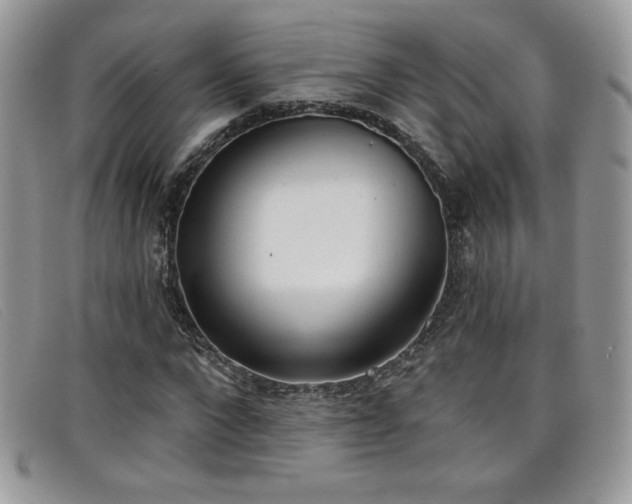 X0000099320872200805021311