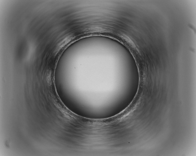 X0000099320873200805021311