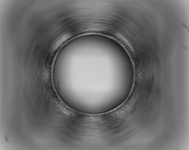 X0000099320874200805021311