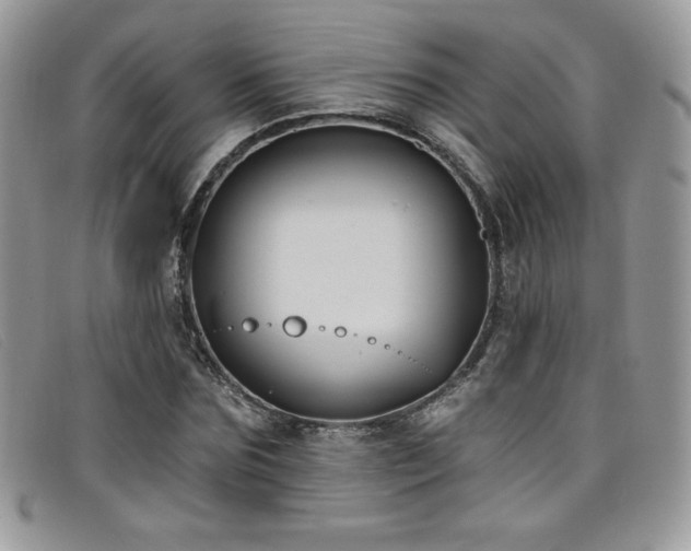 X0000099320875200805021311