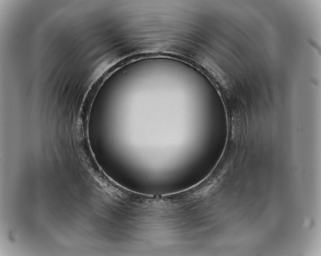 X0000099320876200805021311