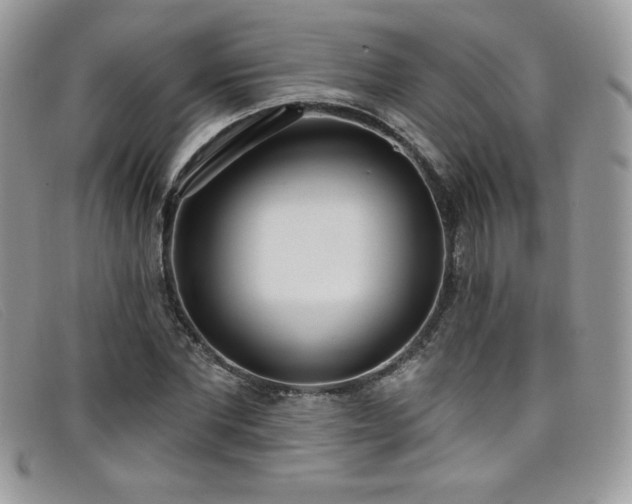 X0000099320877200805021311