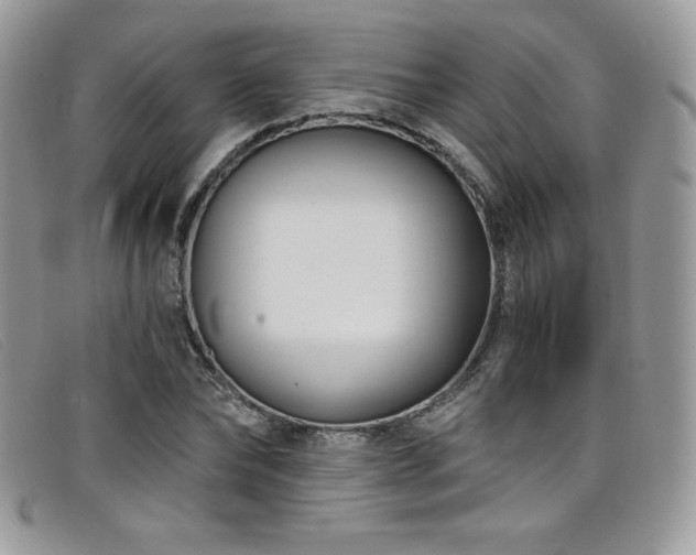 X0000099320878200805021311