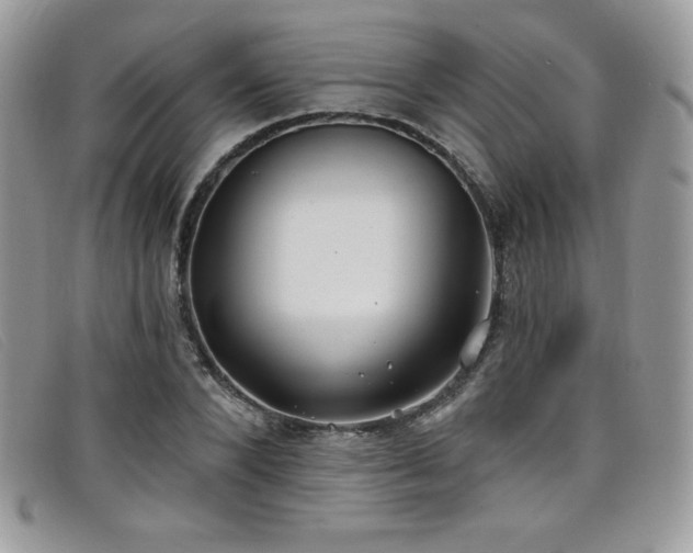 X0000099320880200805021311