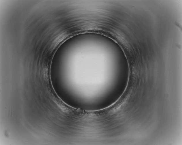 X0000099320881200805021311