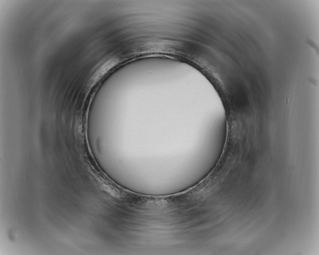 X0000099320882200805021311