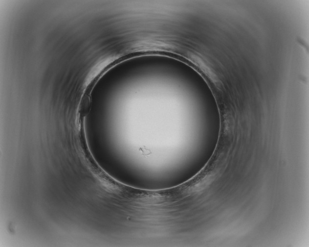 X0000099320885200805021311