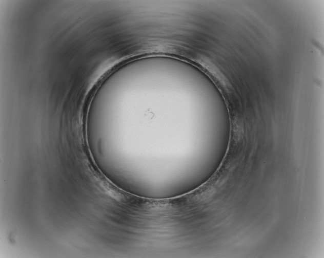 X0000099320886200805021311