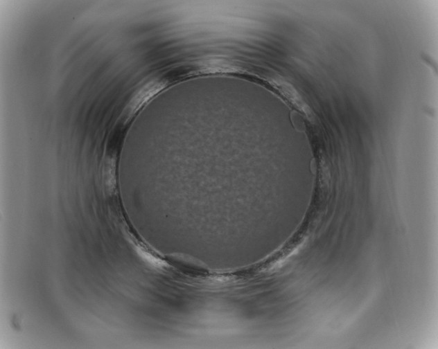 X0000099320889200805021311