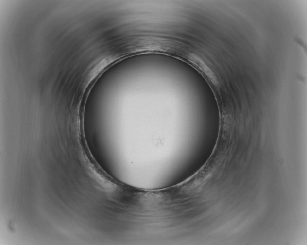 X0000099320890200805021311