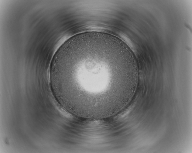 X0000099320891200805021311