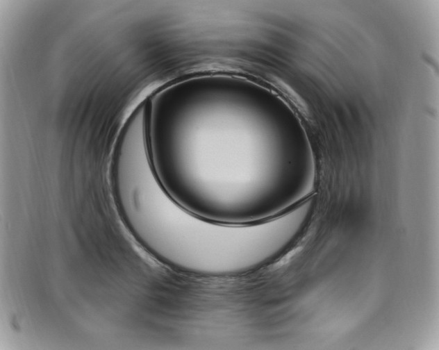 X0000099320893200805021311