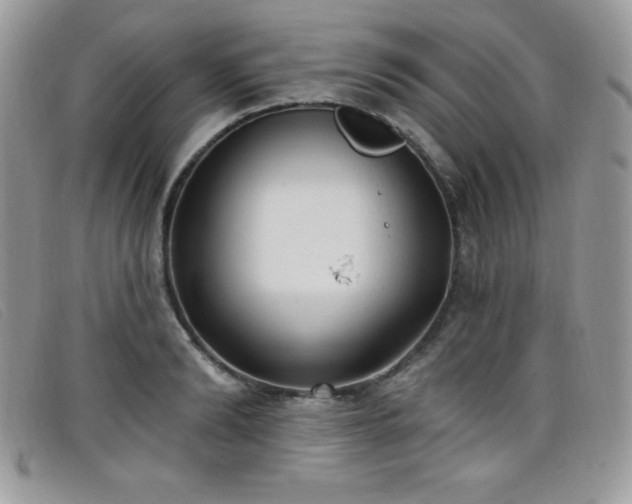 X0000099320894200805021311