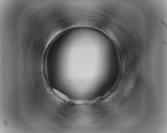 X0000099320896200805021311