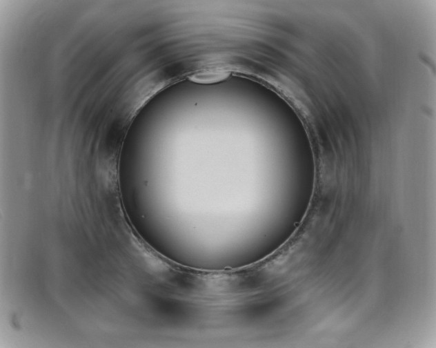 X0000099320897200805021311