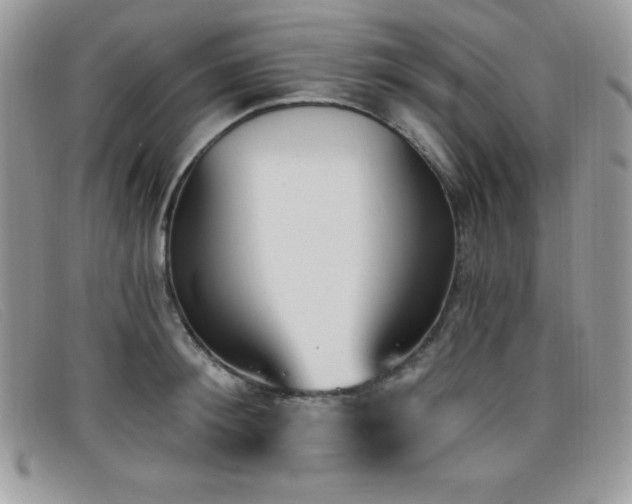 X0000099320900200805021311