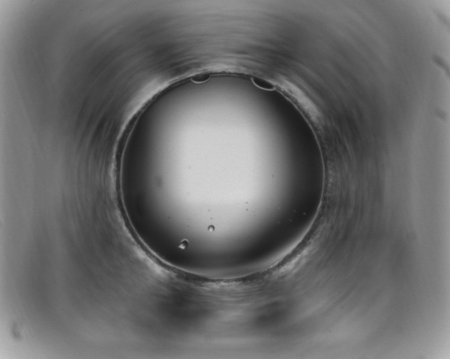 X0000099320902200805021311