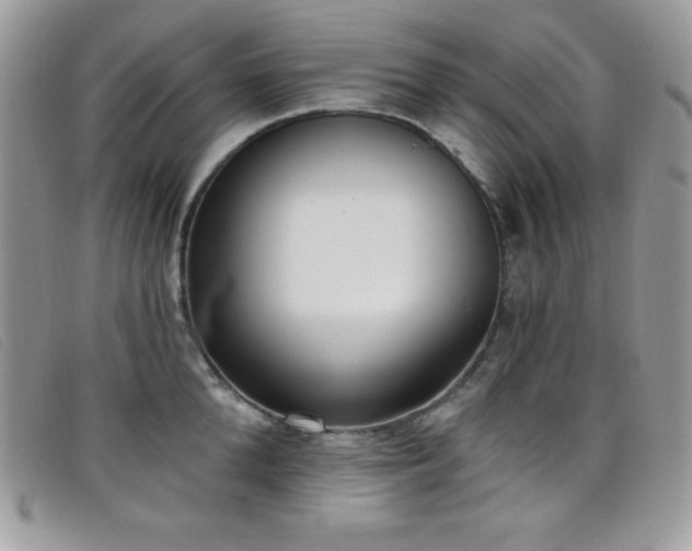 X0000099320904200805021311
