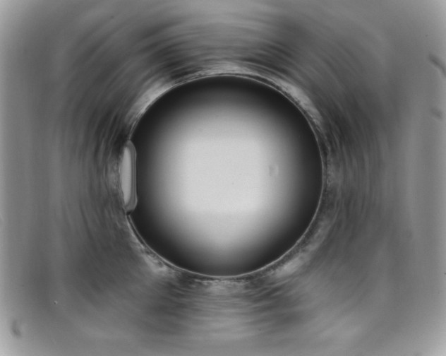 X0000099320905200805021311