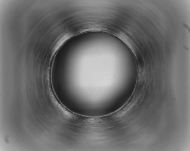 X0000099320906200805021311