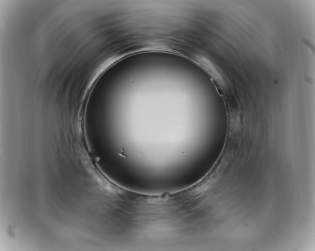 X0000099320908200805021311