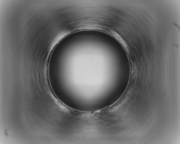 X0000099320909200805021311
