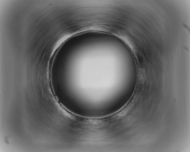 X0000099320910200805021311