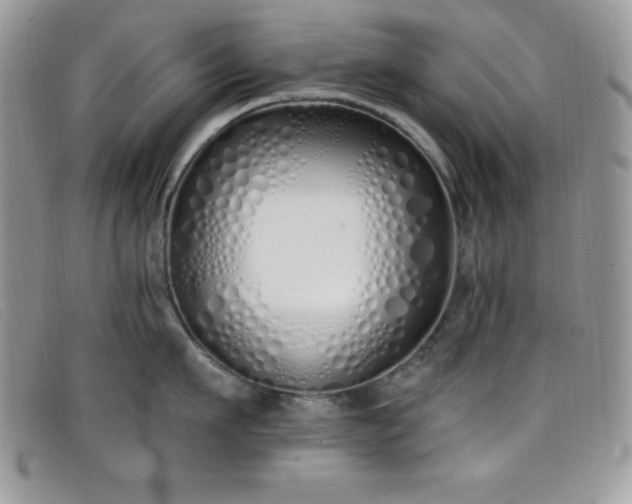 X0000099320911200805021311
