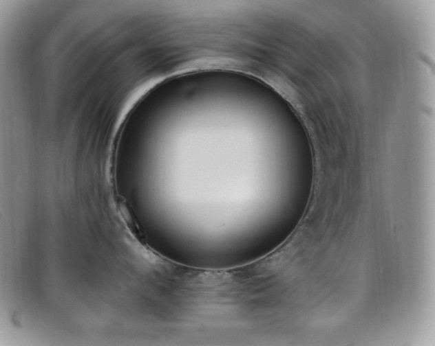 X0000099320912200805021311