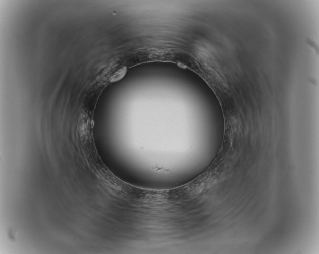X0000099320914200805021310