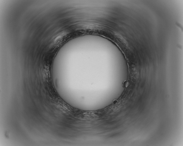X0000099320918200805021310