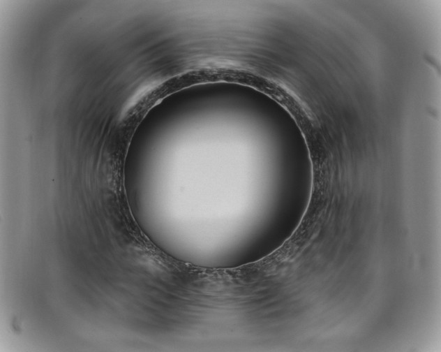 X0000099320919200805021310