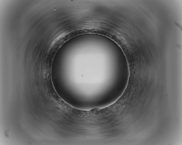 X0000099320920200805021310