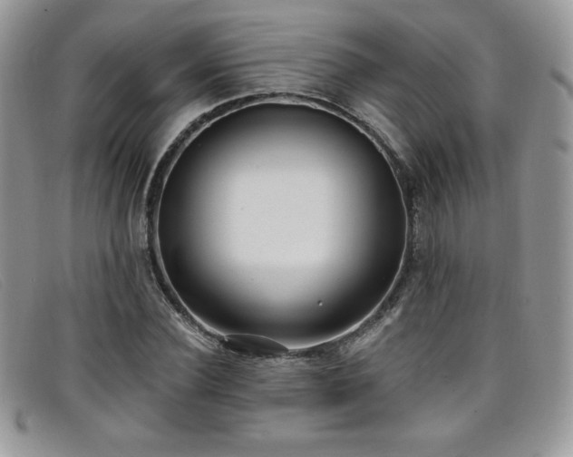 X0000099320924200805021310