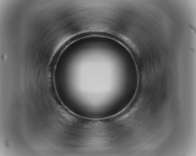 X0000099320926200805021310