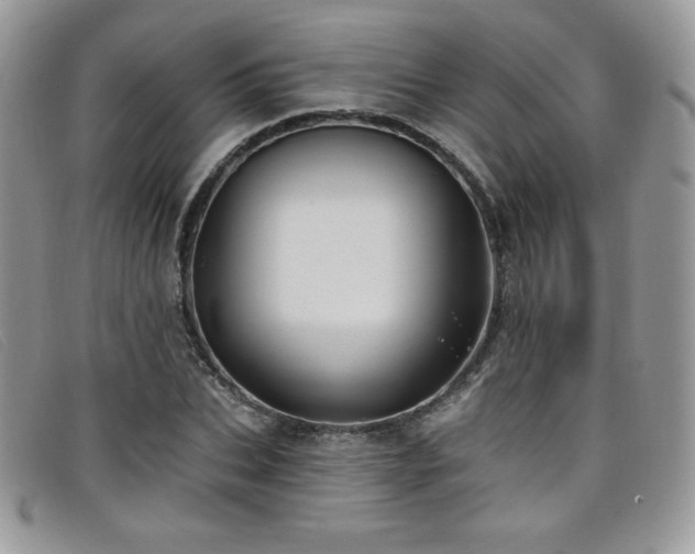 X0000099320927200805021310