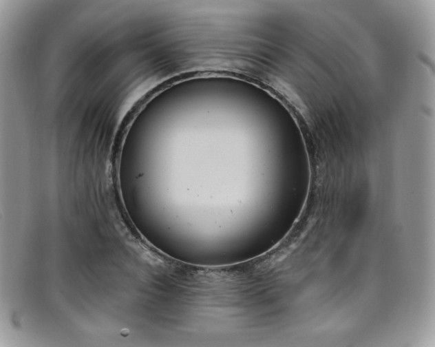 X0000099320928200805021310