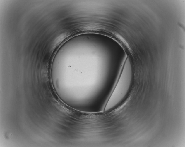 X0000099320930200805021310