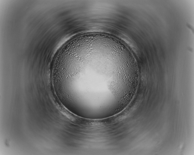 X0000099320933200805021310