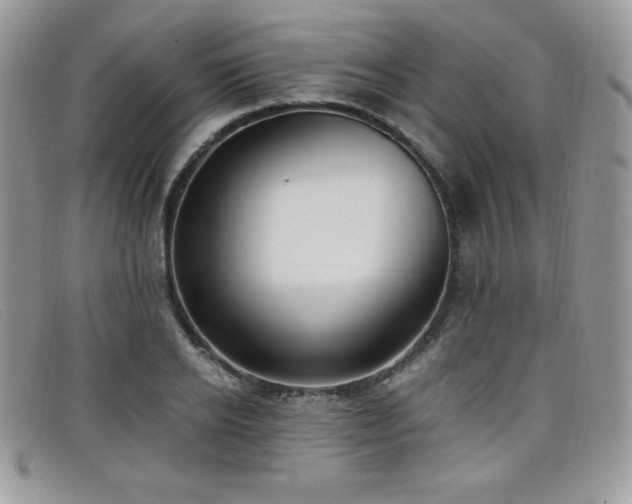 X0000099320934200805021310