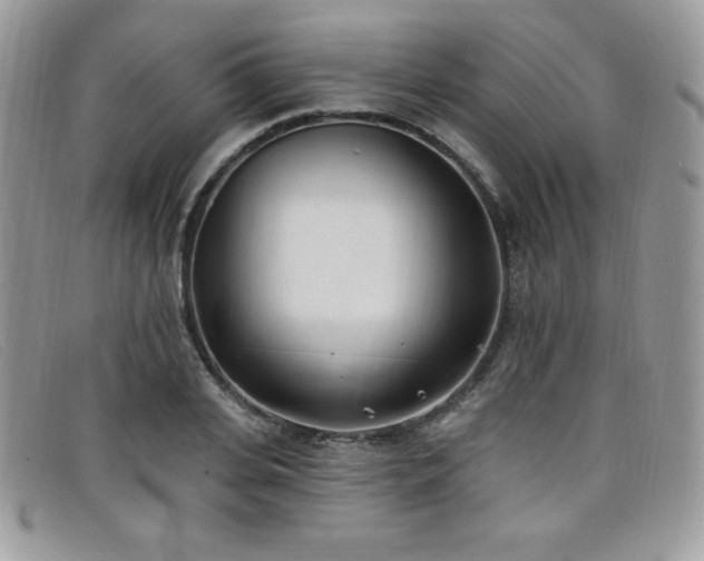 X0000099320935200805021310