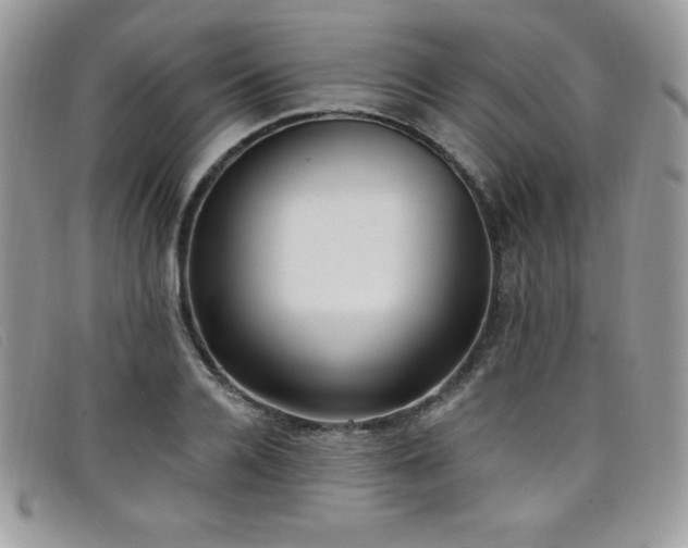 X0000099320936200805021310