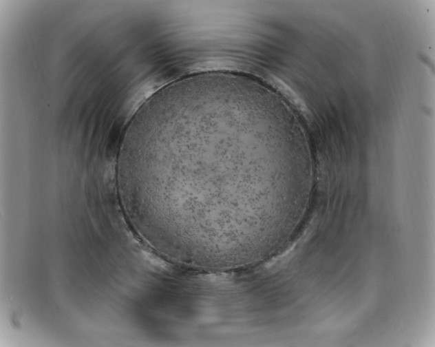 X0000099320937200805021310