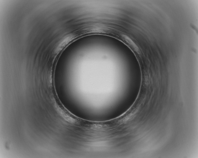 X0000099320938200805021310