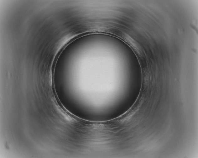 X0000099320940200805021310